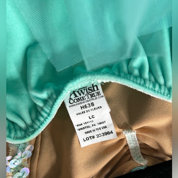 A Wish Come True ballet costume - Picture 3 of 4